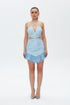 Transparent Detailed Mini Dress